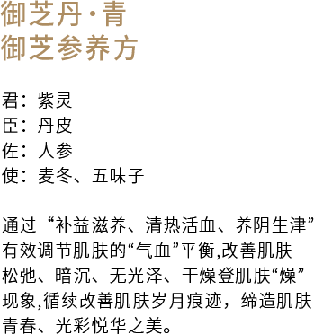 御芝参养方 拷贝.png