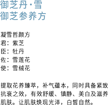 御芝丹 雪 拷贝.png